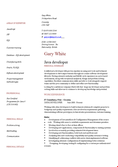 java developer template