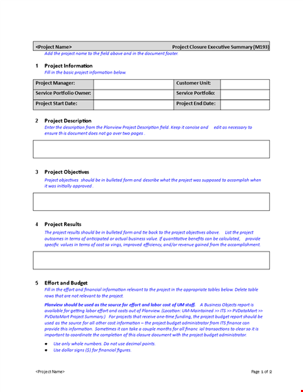 effortlessly create an executive summary with our template template