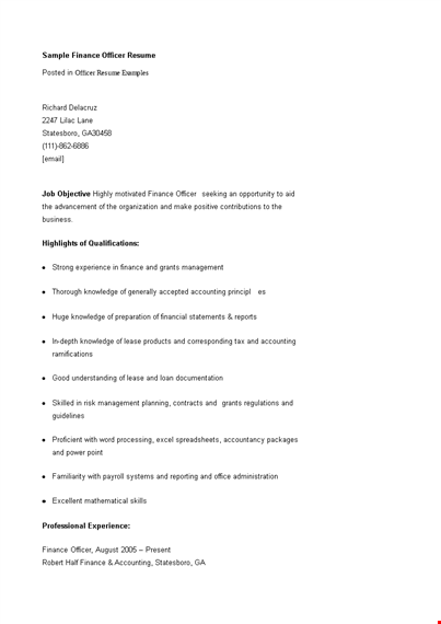finance officer resume example template