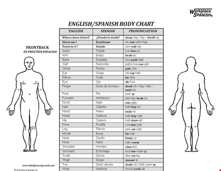 spanish body chart template