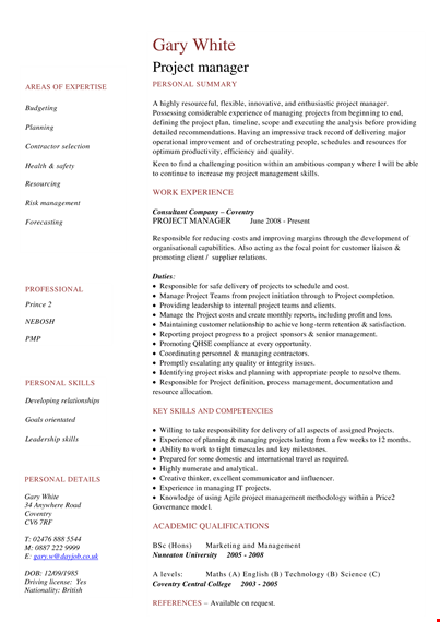 personal project manager curriculum vitae & project management example template