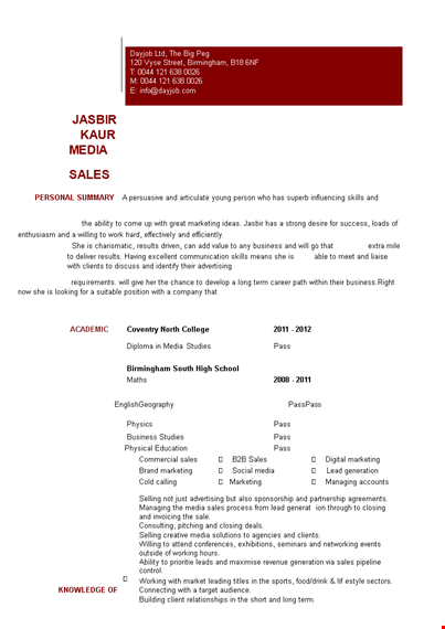 digital media sales resume template