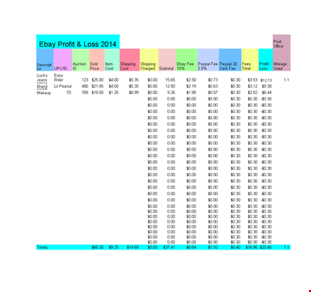 profit and loss statement template template