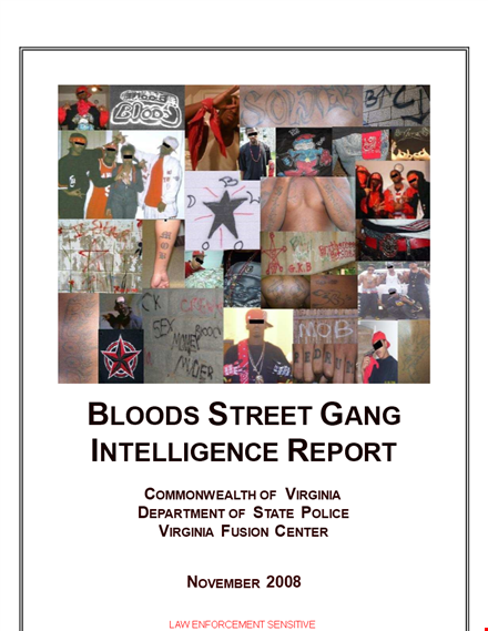 intelligence information report - discovering insightful bloods and their members template