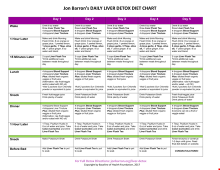 daily diet template