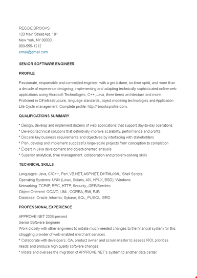 senior it engineer resume template