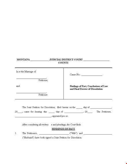 get divorce papers template for support, child custody, and parties template