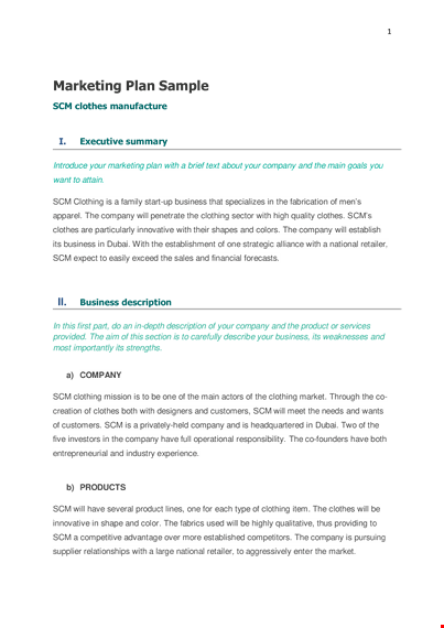 clothing company marketing plan template template