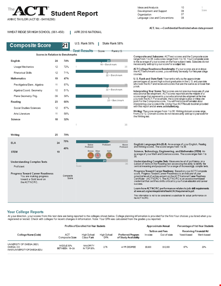 free student report template