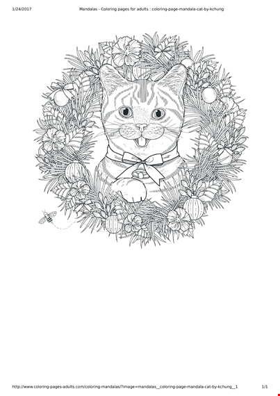 mandala cat coloring pages for adults template