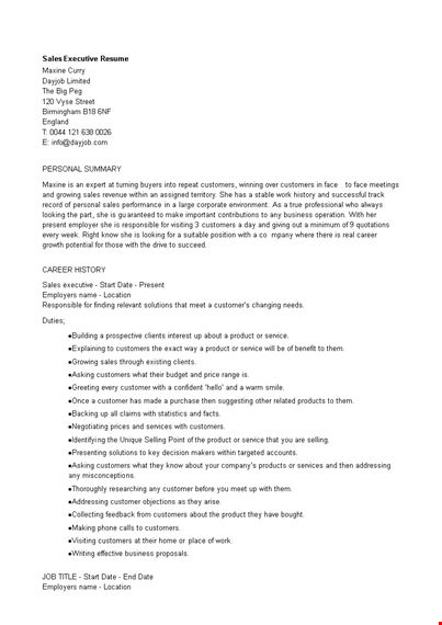 sales executive resume word template