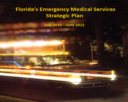 hospital service strategic plan template