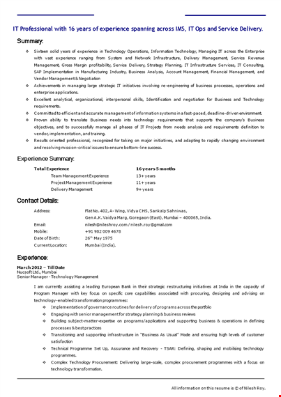it proffesional cv template template