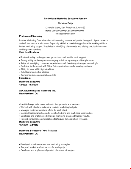 professional marketing executive resume template