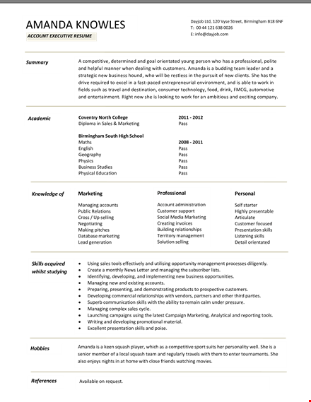 sample resume for senior accounts executive template