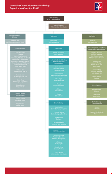 marketing organization chart template: boost your team's efficiency with an effective structure! template