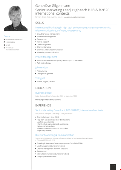 senior marketing consultant resume template