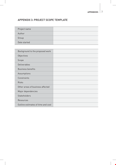 business project scope & appendix examples template