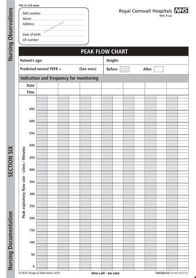 peak flow chart by age template