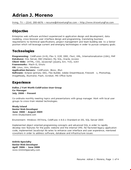 senior it developer resume: crafting a stellar application highlighting your developed skills template