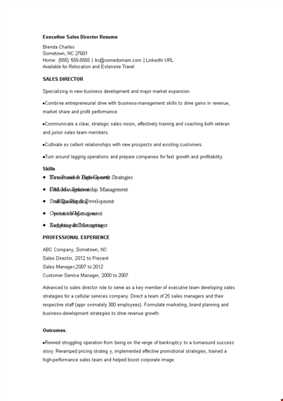 executive sales director resume template