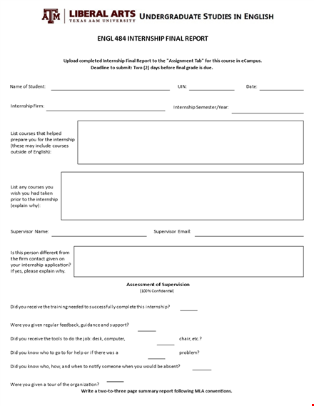 internship final report template