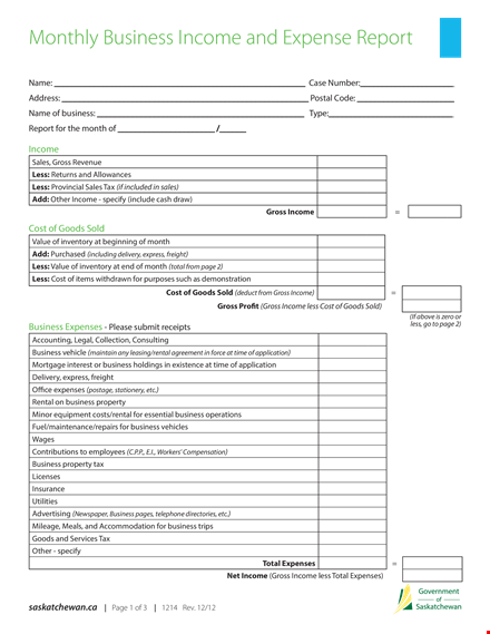 monthly business expense report - track your business expenses and manage your income template