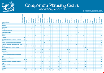 simple companion planting chart for tomatoes and chamomile template