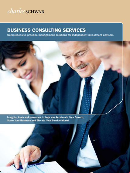 consulting services business plan template template