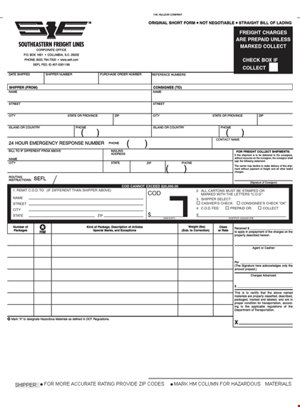 shipping seflbilloflading template