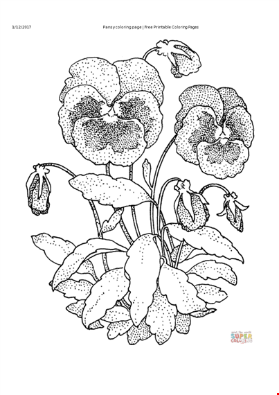 free printable flower coloring pages for adults template