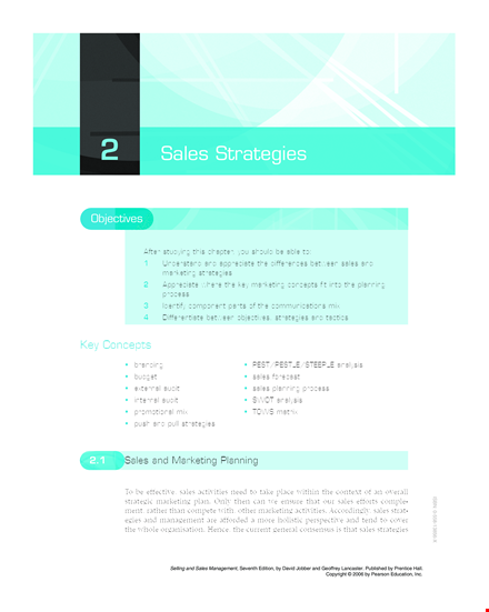 sales strategies planning process rvqjfdkbr template