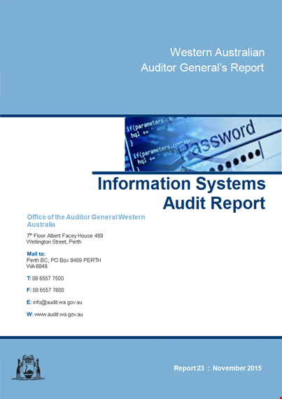 information system audit report template