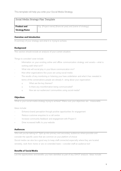 social media strategy plan template template
