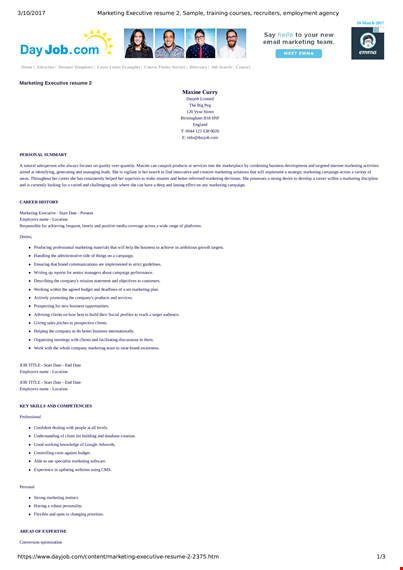 professional marketing executive resume | marketing and executive expertise | dayjob courses template