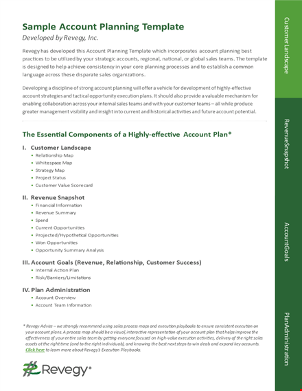 sales account management plan template