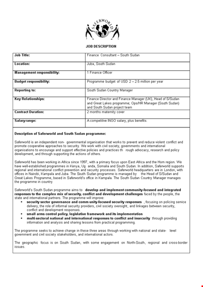 financial consultant job description template