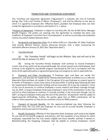 simple and effective separation agreement template template