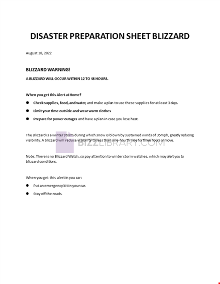 disaster preparation sheet blizzard template