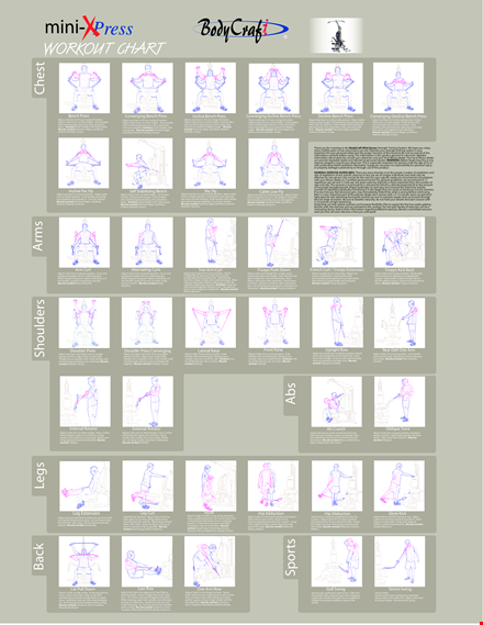 muscle workout chart template