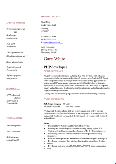 php resume - expert programming & developing skills for developer template