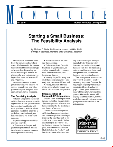 small business feasibility analysis template template