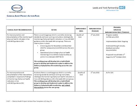 clinical audit action plan template
