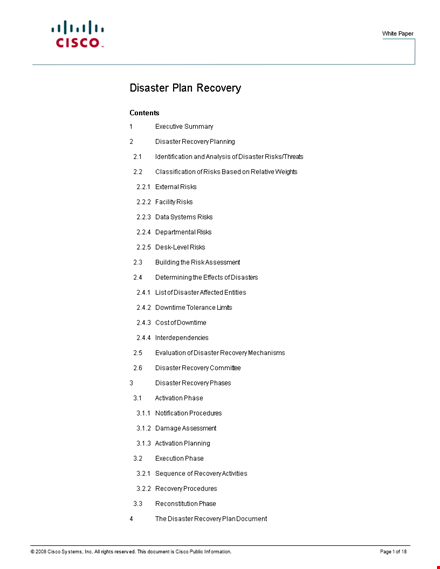 create a robust disaster recovery plan to mitigate risks | download template template