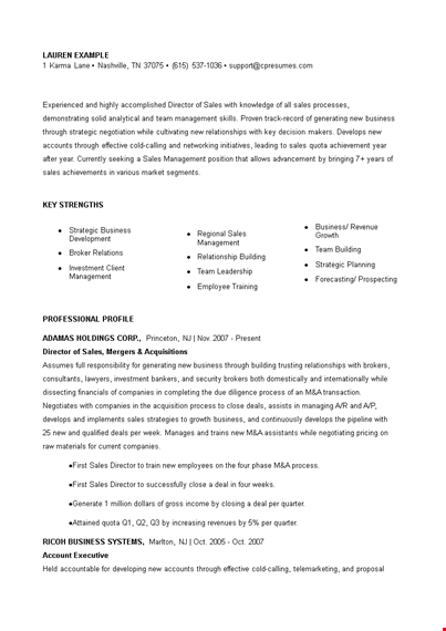 sales director resume example template