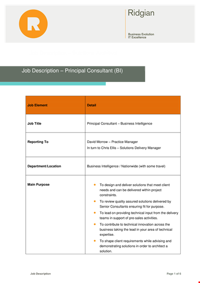 consulting principal job description template