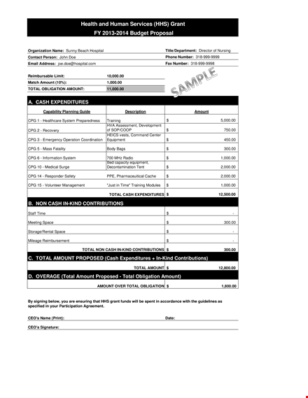 hospital operating budget template template