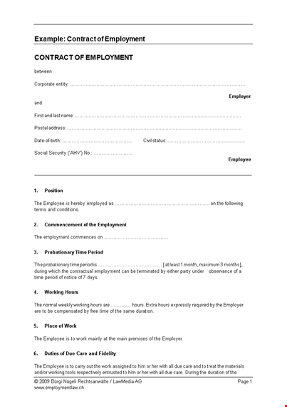 custom employment contracts for employers and employees template