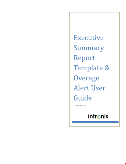 example of daily executive report - account support, summary figures template