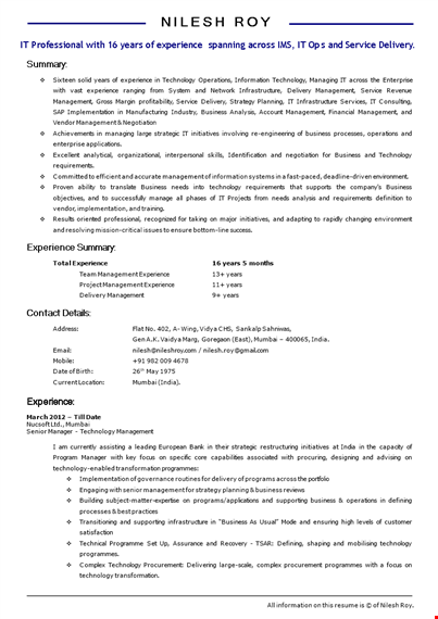 it manager resume doc template